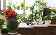 Business For Sale - Floral Boutique in South Calgary - Photo 4
