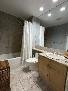 BELTLINE - STUNNING 1 BEDROOM   DEN - Photo 4