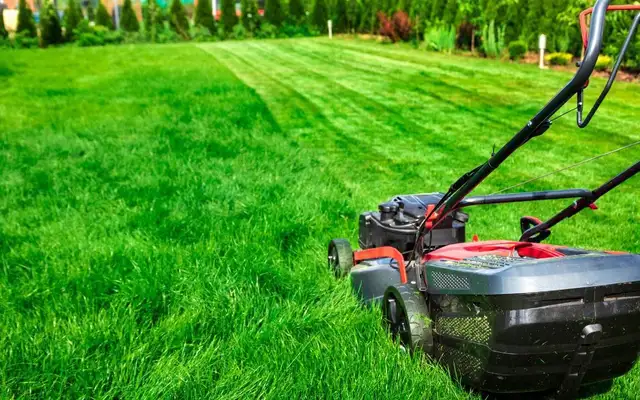 Lawn Mowing Services – Barrhaven