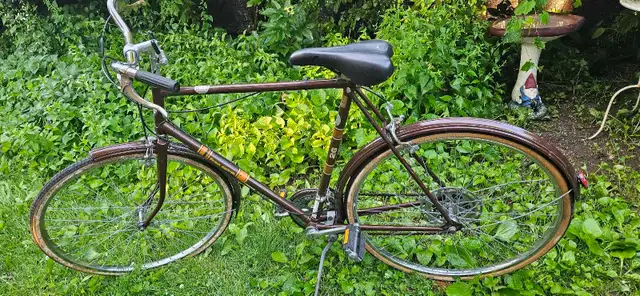 vintage Sears Free Spirit
