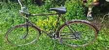 vintage Sears Free Spirit