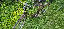 vintage Sears Free Spirit - Photo 2