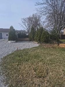 Land for  sale  Kingsville building lot - Photo 6