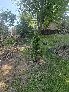 Land for  sale  Kingsville building lot - Photo 10