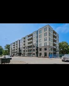 2 bed 1 bath Condo for rent Waterloo