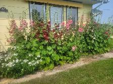 Home for sale - Photo 6
