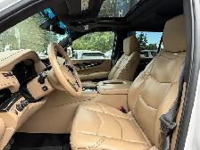 2018 Cadillac Escalade 4WD 4dr Platinum - Photo 9