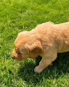 Looking for a Loving Home - Photo 2