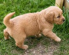Looking for a Loving Home - Photo 3