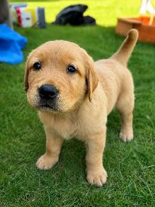 Looking for a Loving Home - Photo 4
