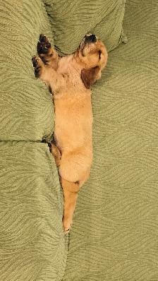 Looking for a Loving Home - Photo 5