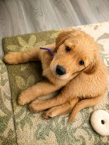 Looking for a Loving Home - Photo 6