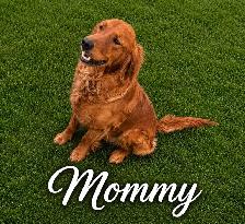 Looking for a Loving Home - Photo 8