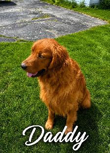Looking for a Loving Home - Photo 9