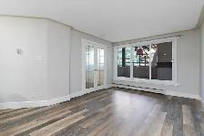 Renovated 1-Bedroom Condo
