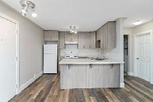 Renovated 1-Bedroom Condo - Photo 7