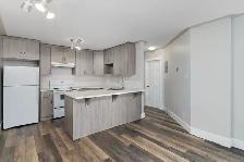 Renovated 1-Bedroom Condo - Photo 8