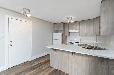 Renovated 1-Bedroom Condo - Photo 9