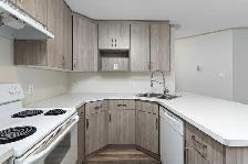 Renovated 1-Bedroom Condo - Photo 10
