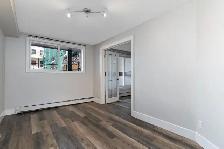 Renovated 1-Bedroom Condo - Photo 13