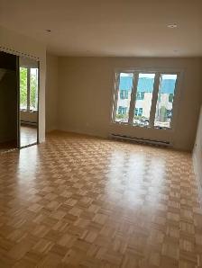 5 1/2 Newly renovated Chomedey - Photo 3