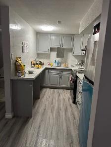 Large shared bedroom basement apt in Bayview Village for rent - Photo 5