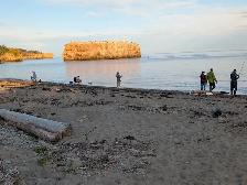 3rd Annual Striped Bass Tournament, Pokeshaw & Black Rock Lions - Photo 3