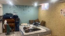 1 bedroom basement - Photo 4