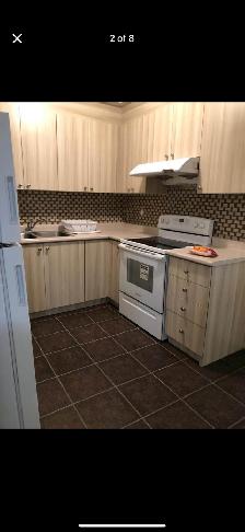 Brampton 2BR Basement for rent - Photo 3