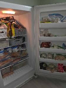 Frigidaire 17 cu. ft. Upright Freezer - Photo 2