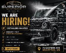 HIRING CAR DETAILER