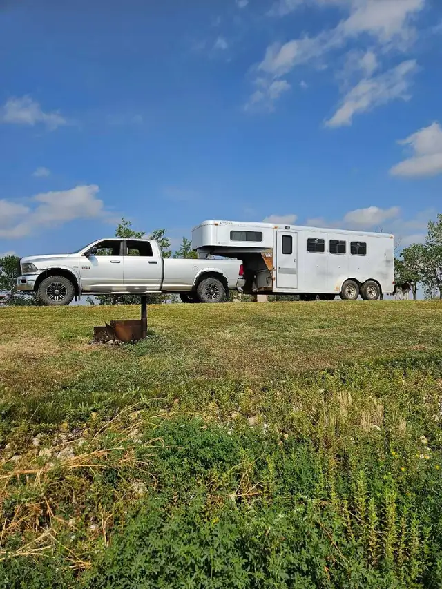 Horse hauling to July Amberlea Meadows Show