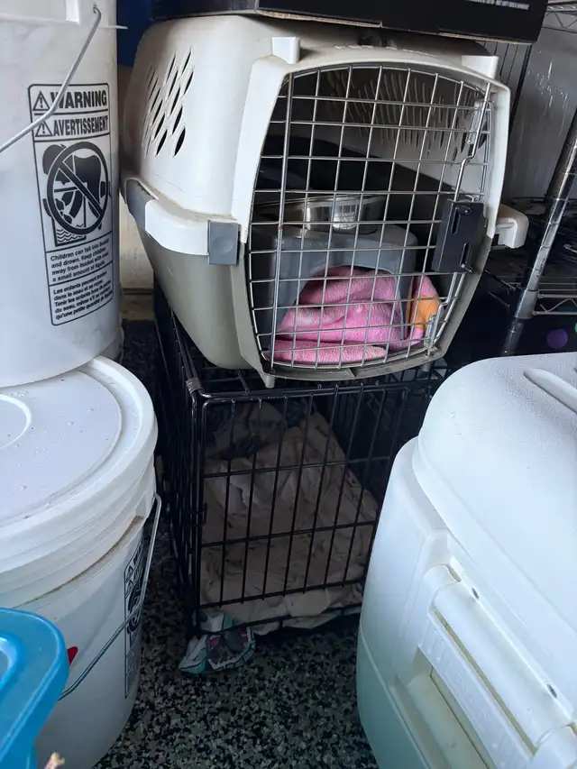 pet kennel and crate