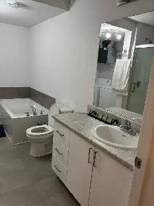 $1600 - 824 MALONEY EST - 2 Chambres/Rooms & 1 office - GATINEAU - Photo 6