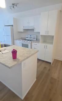 $1600 - 824 MALONEY EST - 2 Chambres/Rooms & 1 office - GATINEAU - Photo 24