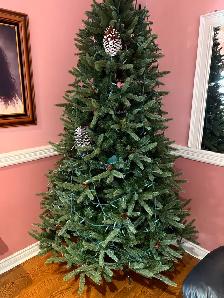 Beautiful RealLife look alike Christmas small needle pine tree