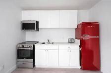 Furnished 1 Bedroom - Downtown