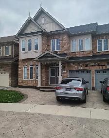 Basement Apartment For Rent