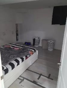 Basement Apartment For Rent - Photo 10