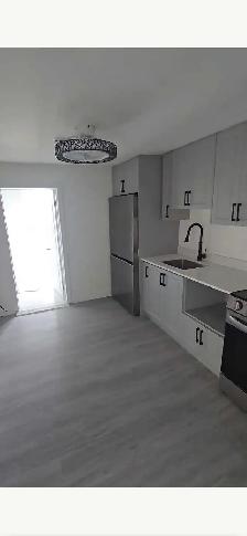 Brighton Rooms for Rent - Photo 10