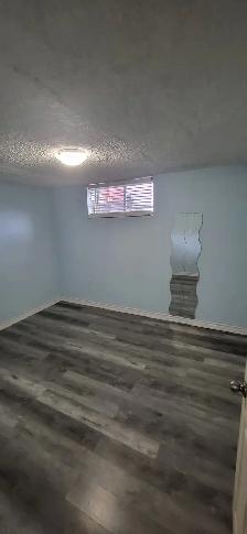 Beautiful Roomy Two Bedroom Walkout Basement Apartment - Photo 5