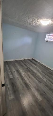 Beautiful Roomy Two Bedroom Walkout Basement Apartment - Photo 6