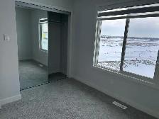 One Room for rent