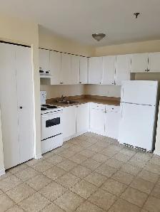 Spacious 2BR w/ Balcony & Elevator - Charles St - Sept 1st - Photo 12