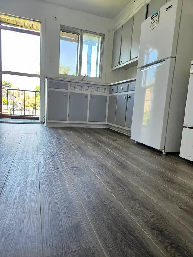 Newly renovated 2 bedrooms apt for rent in LaSalle available now