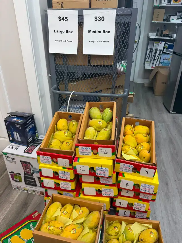 Pakistani Mangoes | Fresh Anwar Ratool & White Chaunsa.