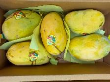 Pakistani Mangoes | Fresh Anwar Ratool & White Chaunsa. - Photo 4