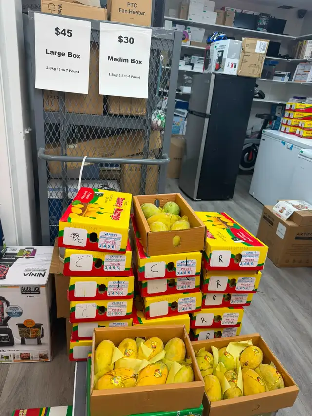 Pakistani Mangoes | Fresh Anwar Ratool & White Chaunsa | SALE