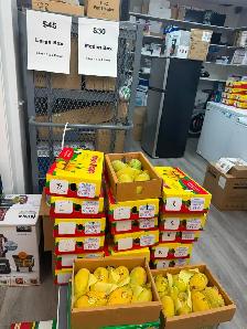 Pakistani Mangoes | Fresh Anwar Ratool & White Chaunsa | SALE