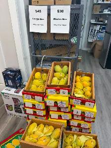 Pakistani Mangoes | Fresh Anwar Ratool & White Chaunsa | SALE - Photo 2